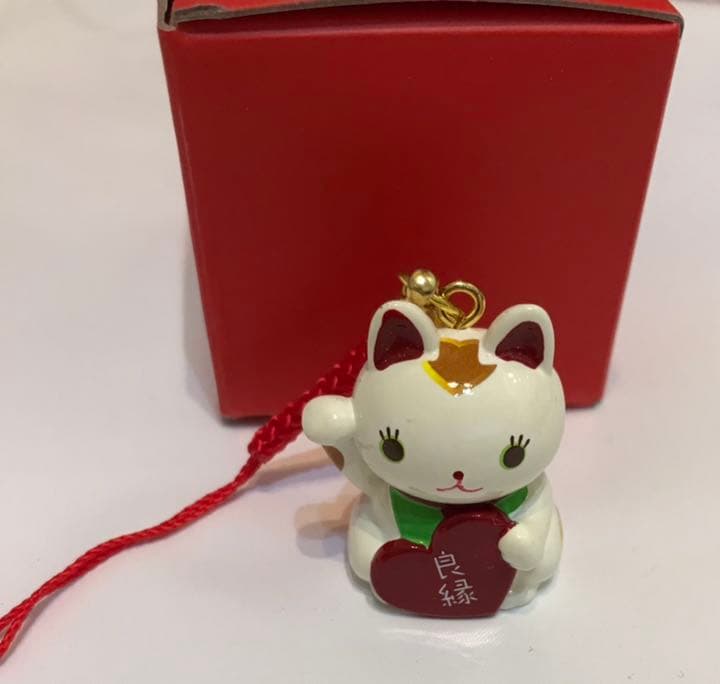 佐藤健　雑誌　たけてれDVD 猫様ネックレス付き