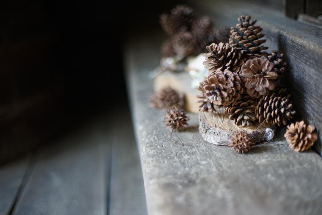 Carl　Zeiss　Planar 1.4/50mm　T*　付属多数付き