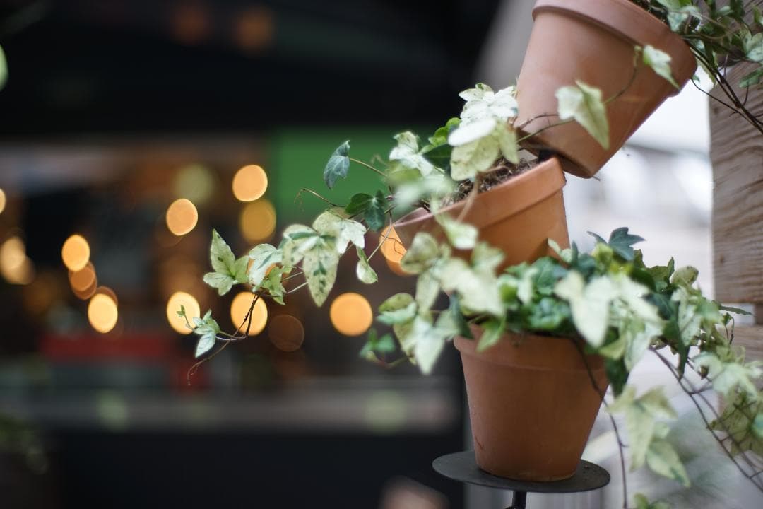 Carl　Zeiss　Planar 1.4/50mm　T*　付属多数付き