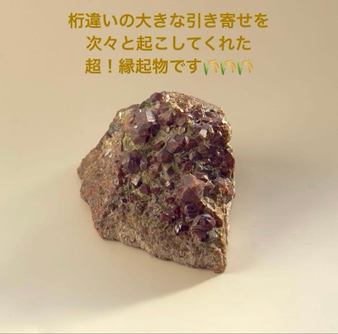 【封入エネルギーをお選びいただけます】特別限定品✴︎お抹茶と濃厚ショコラのケーキ