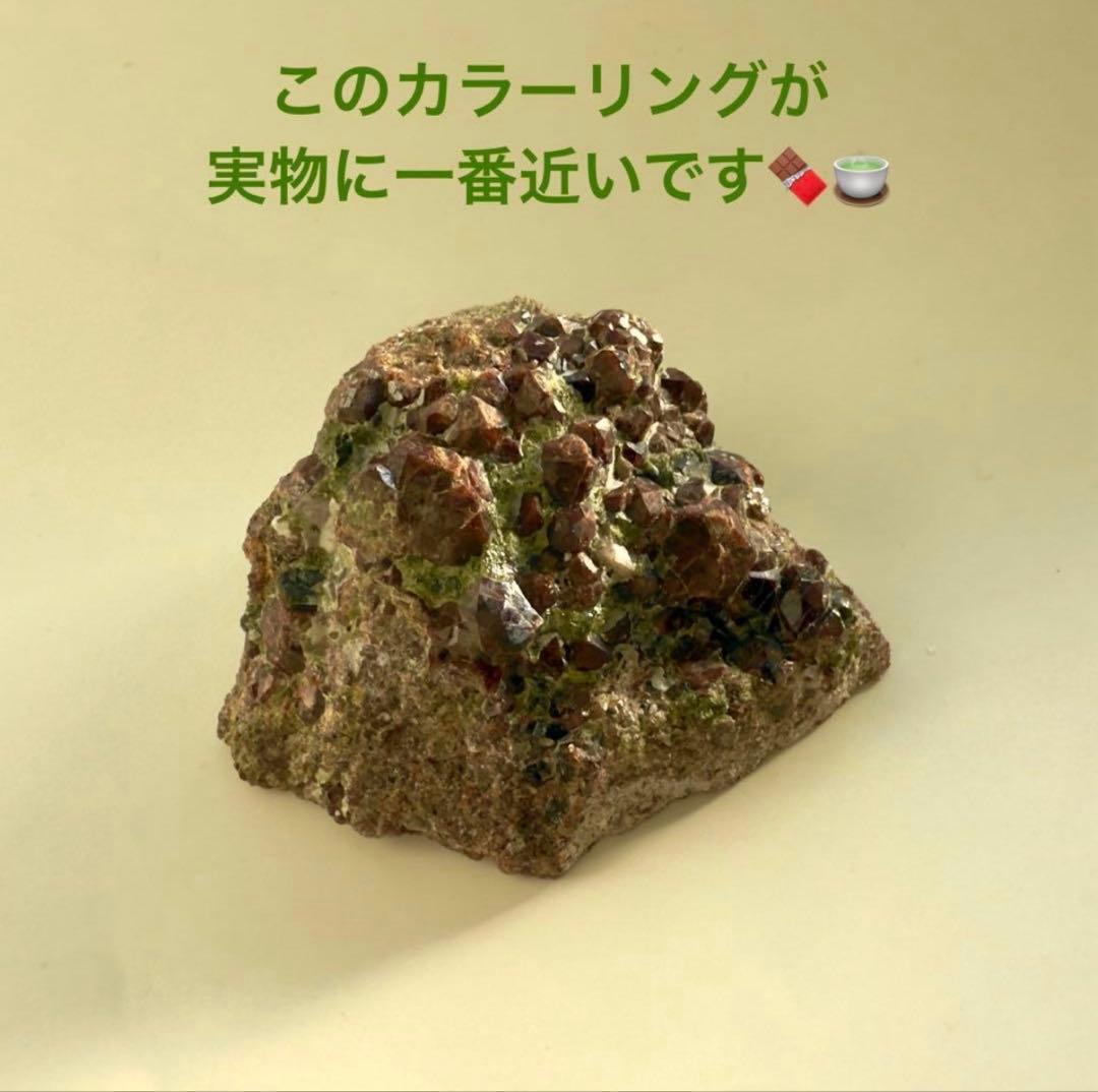 【封入エネルギーをお選びいただけます】特別限定品✴︎お抹茶と濃厚ショコラのケーキ