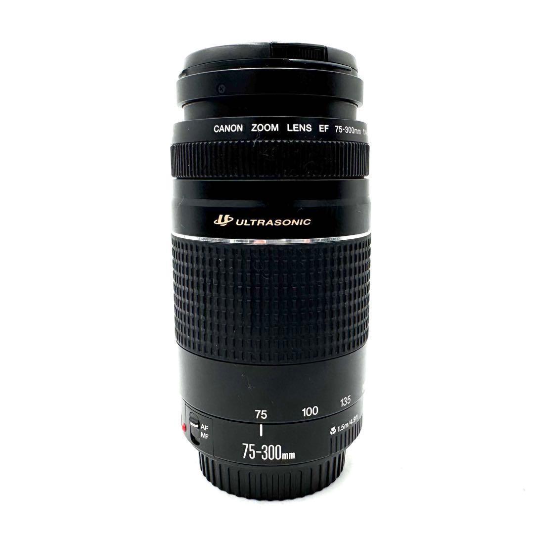 美品！Canon EF 75-300mm F4-5.6 III USM キャノン