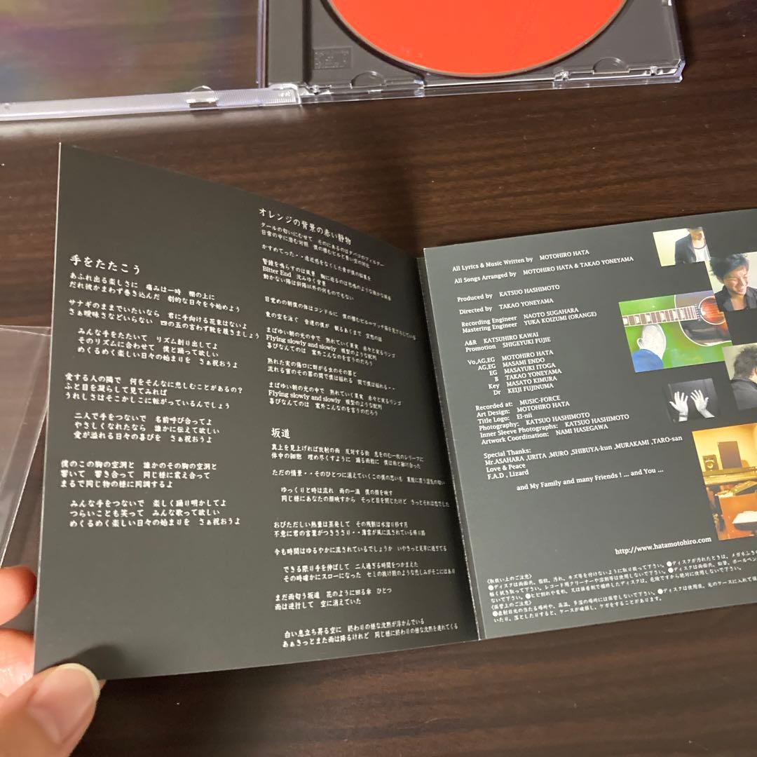 超レア！オレンジの背景の赤い静物　秦基博