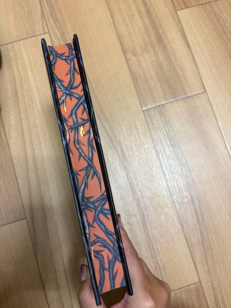 洋書 ensnared by rebecca quinn