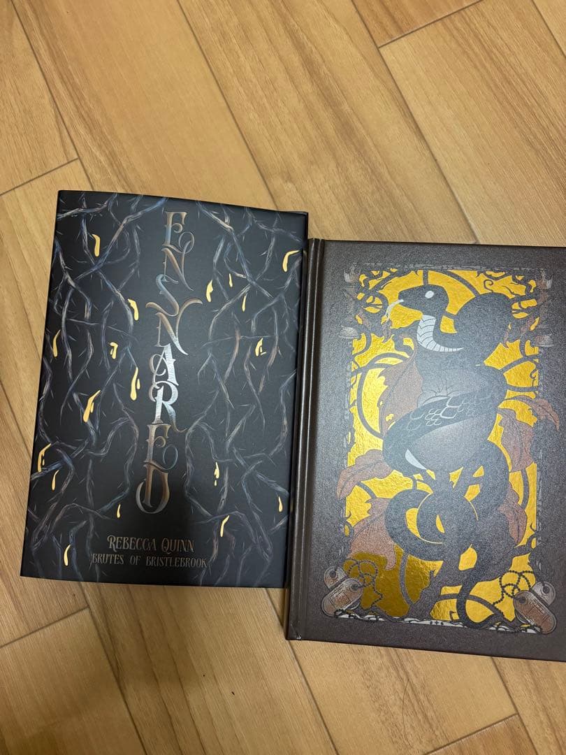 洋書 ensnared by rebecca quinn