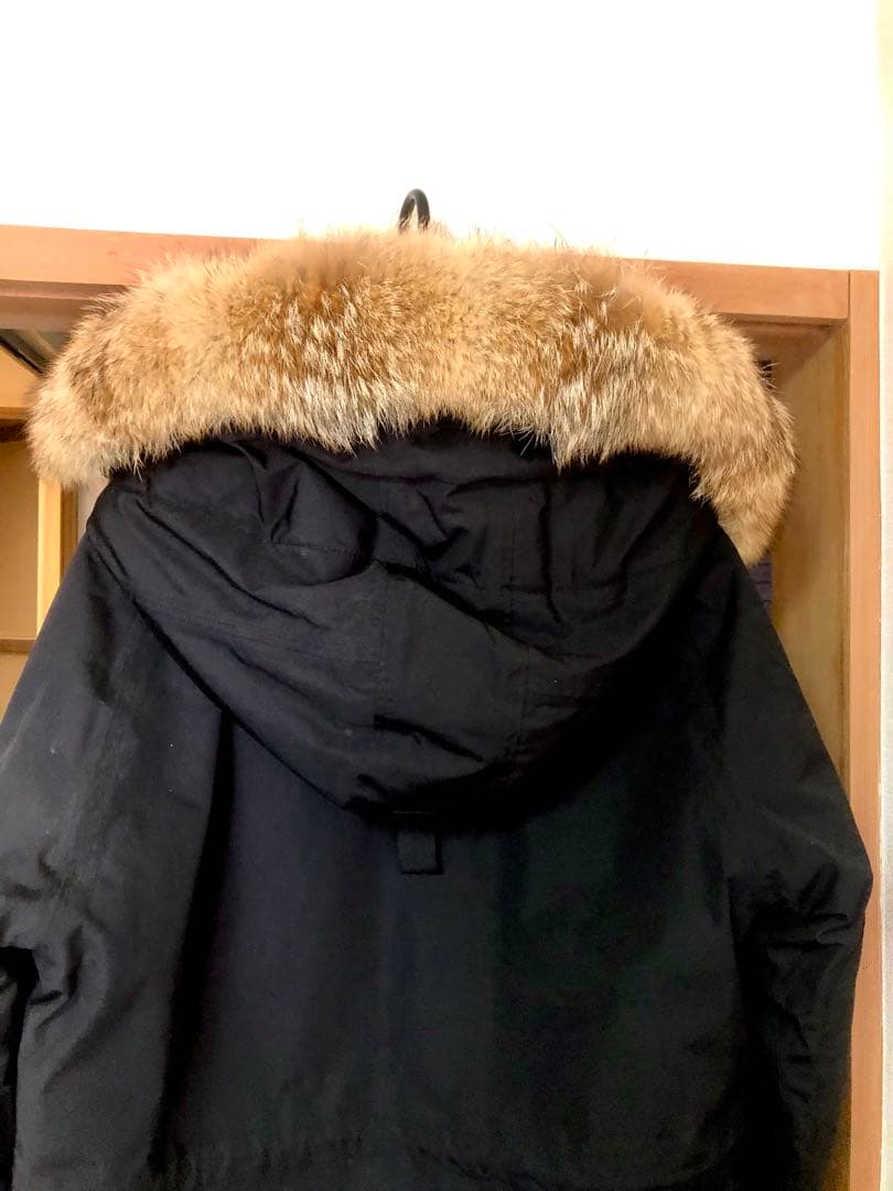 N-3B SESSLER セスラーMサイズ フライトジャケットコヨーテファー