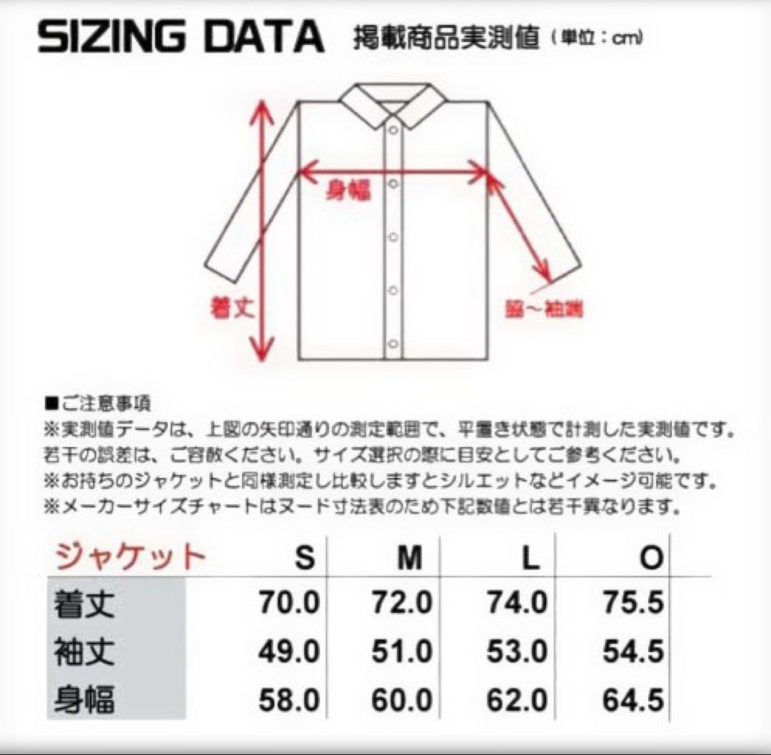 スキー DESCENTE S.I.O INSULATED JACKET PANTS