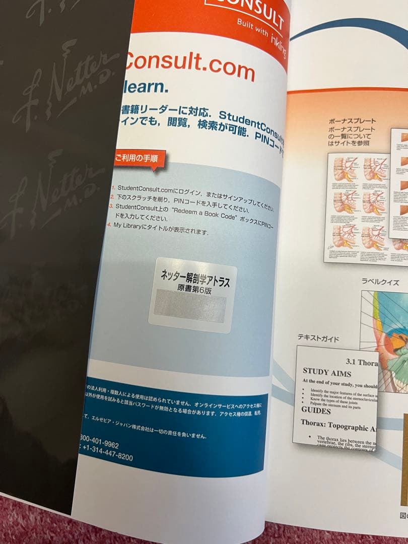 [値下げ]「ネッター解剖学アトラス[電子書籍付](原書第6版)」