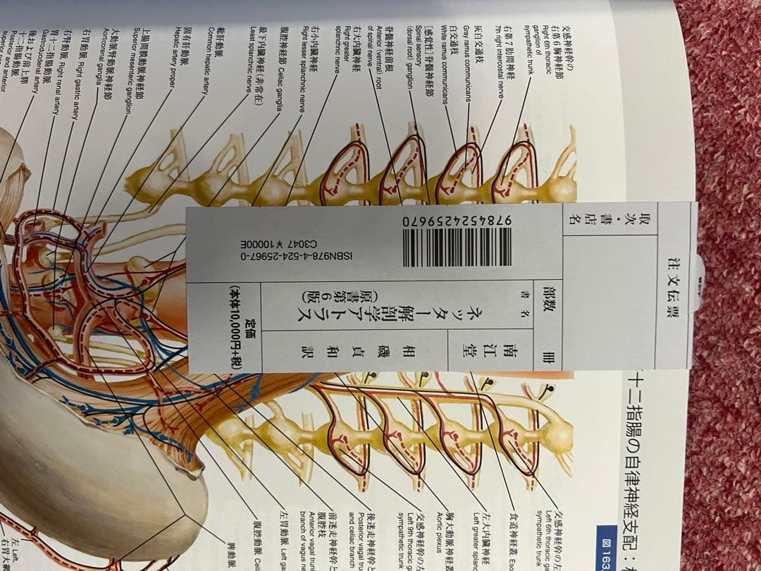 [値下げ]「ネッター解剖学アトラス[電子書籍付](原書第6版)」