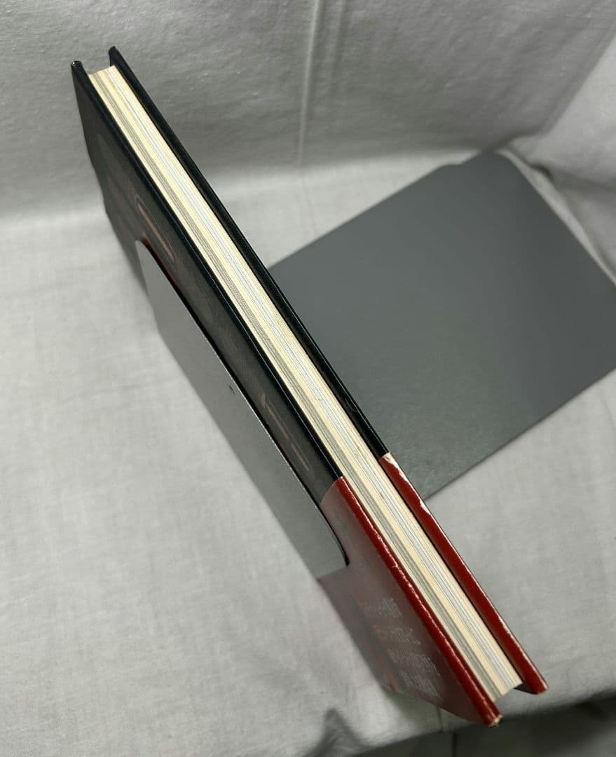 デビッド・リンチ　ペインティング＆ドローイング