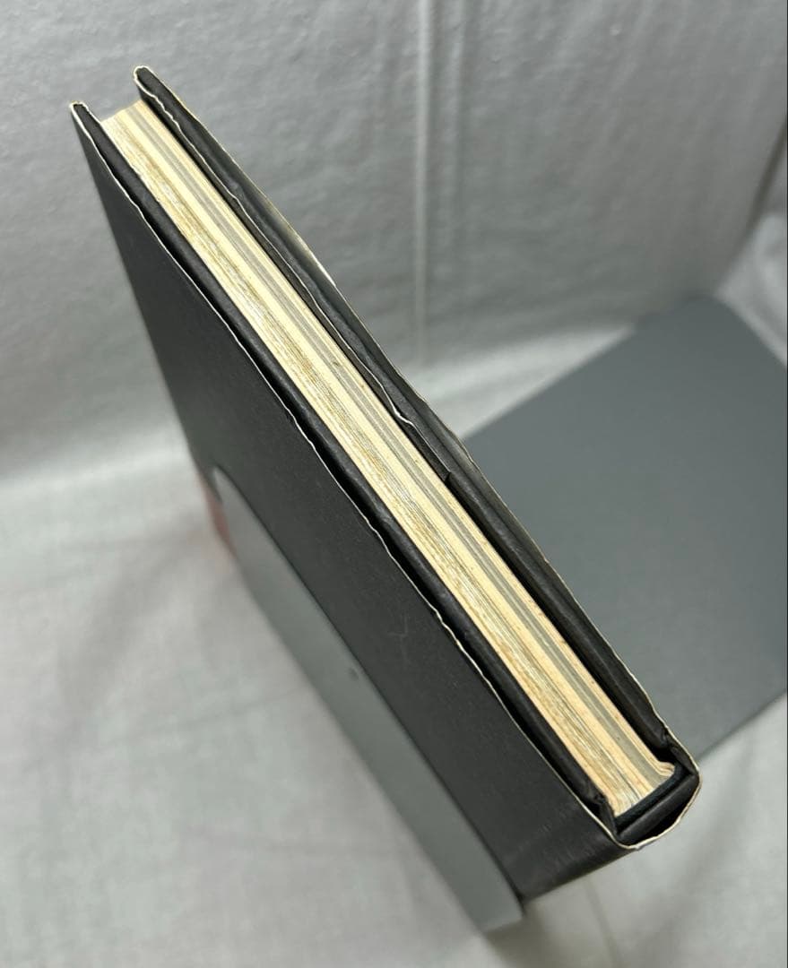 デビッド・リンチ　ペインティング＆ドローイング