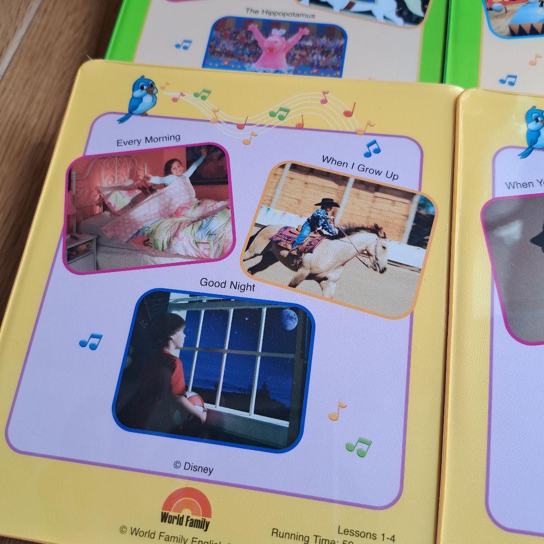 DWEストレートプレイの１１枚セット