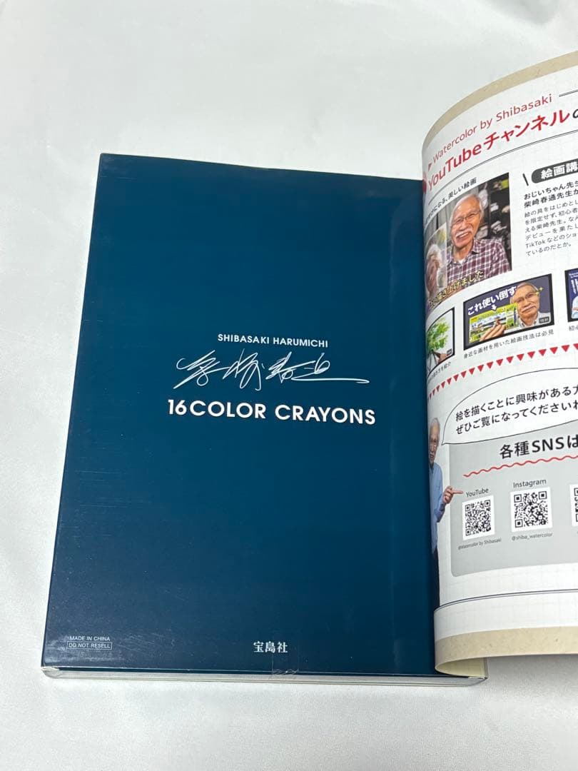 柴崎春通監修 楽しい大人のクレヨン画BOOK 16色のクレヨンセット付き