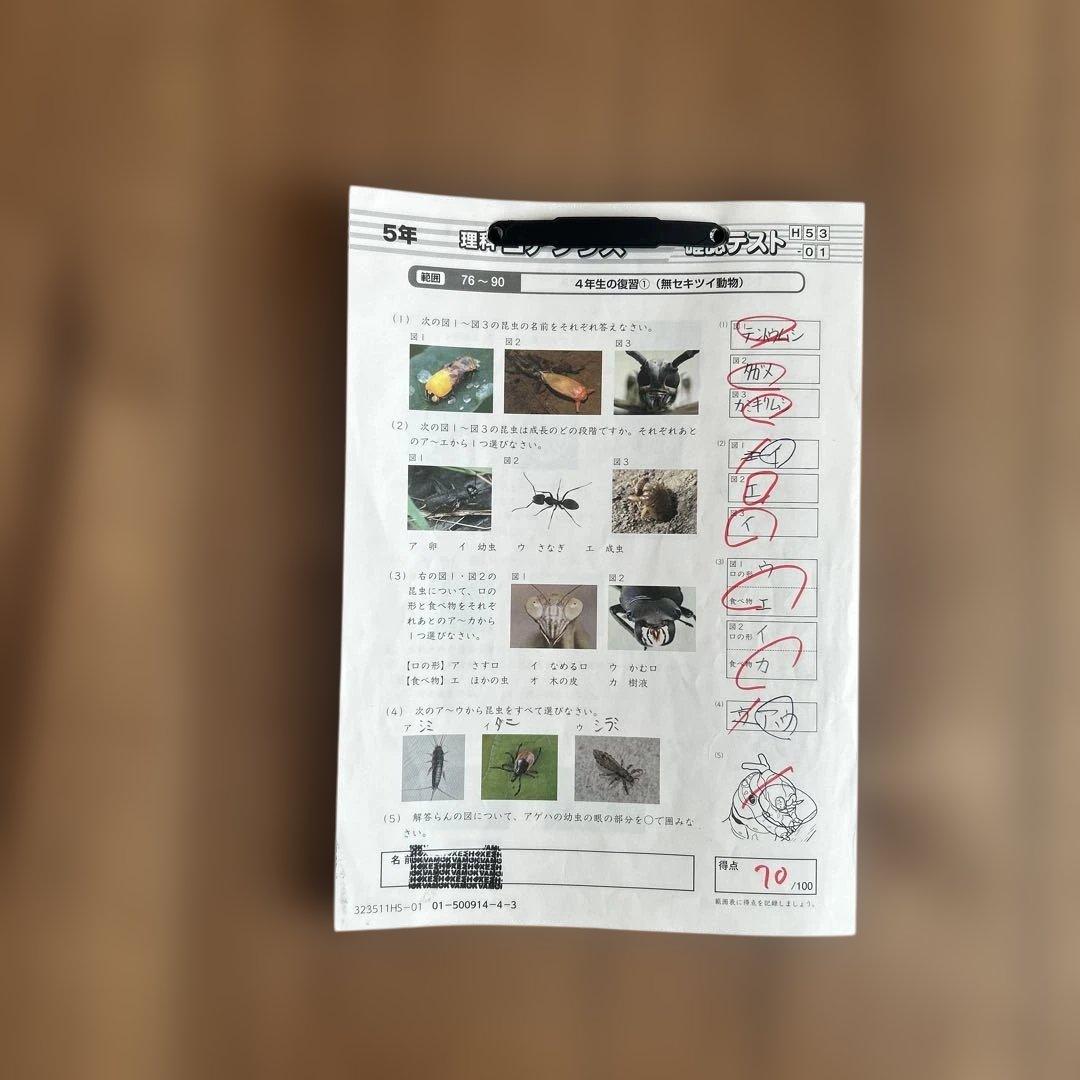 サピックス　5年　理科　社会　1年分テキスト　欠番なし　季節講習付2023 年度