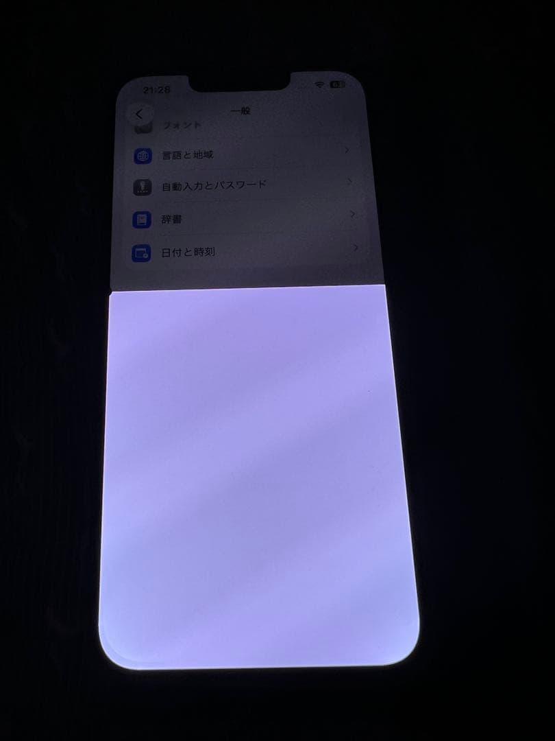 iPhone 13 Pro 256G本体画面不良