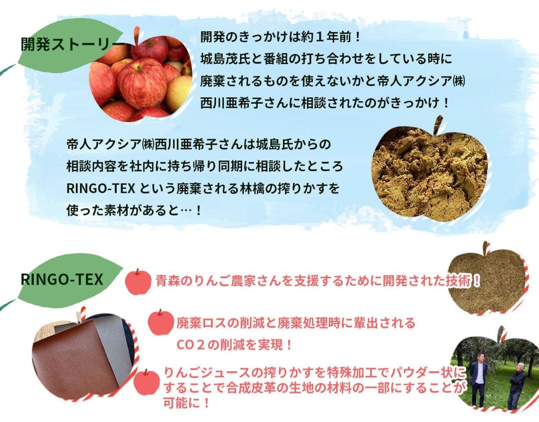 テイジン帝人RINGO-TEX 城島 茂プロデュースバッグ