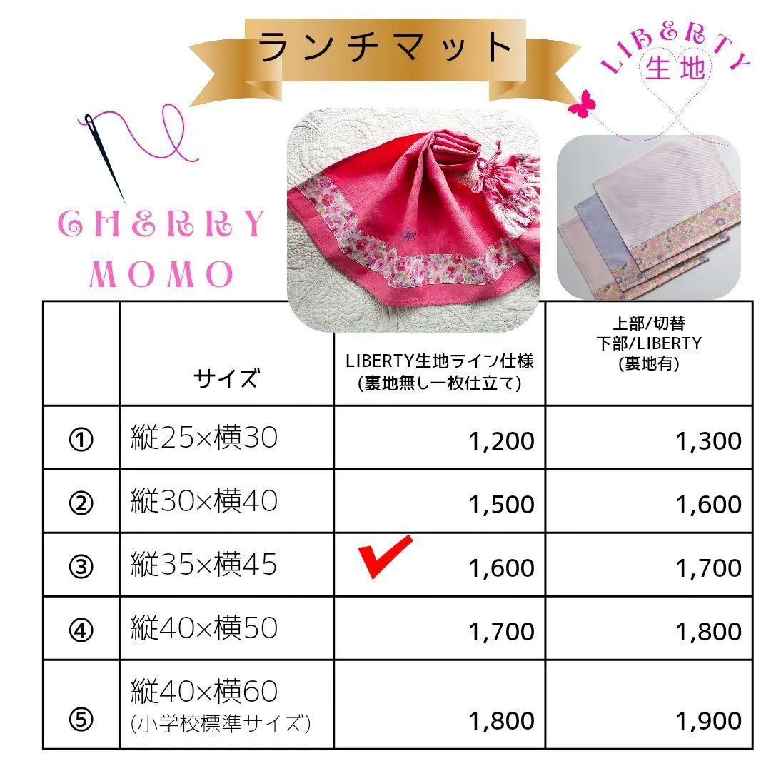 ★みか様★入園入学リバティ恐竜グッズ　速乾ライン仕様５点　男の子