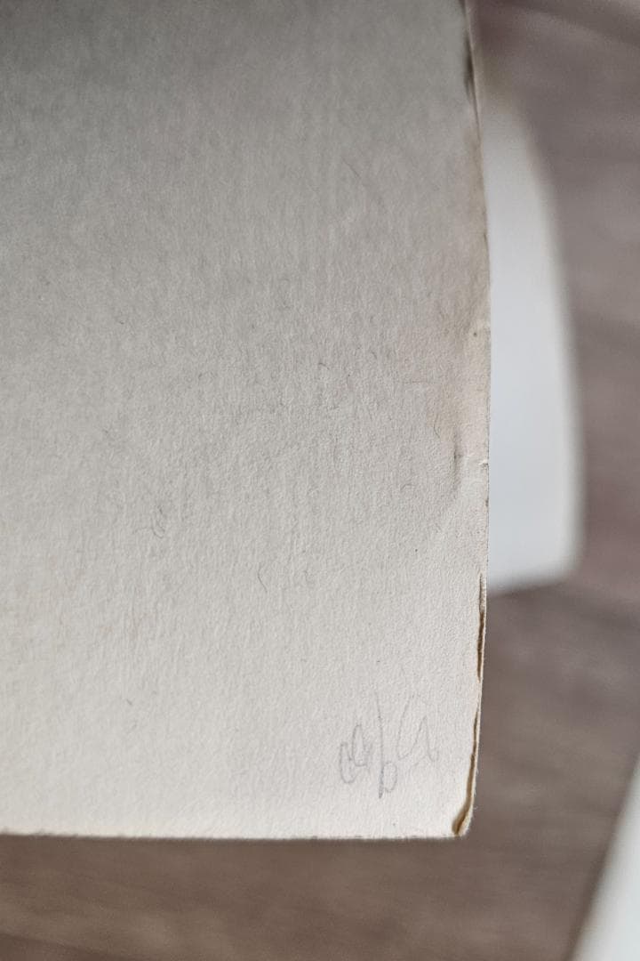 coopクープ シルクスクリーンポスター/シリアルナンバー&サイン入オリジナル