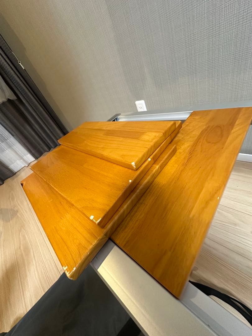  peak エントリーIGT 収納バッグ付き おまけ付き