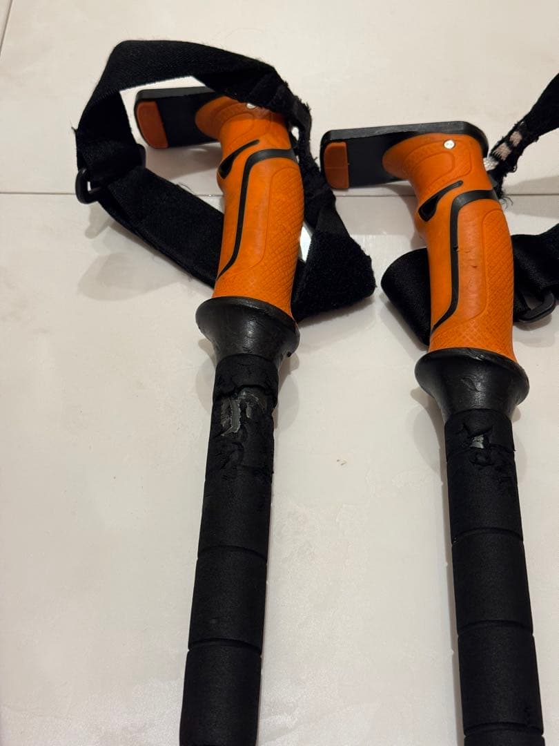 ＢＣＡ　ポール　SCEPTER ４S