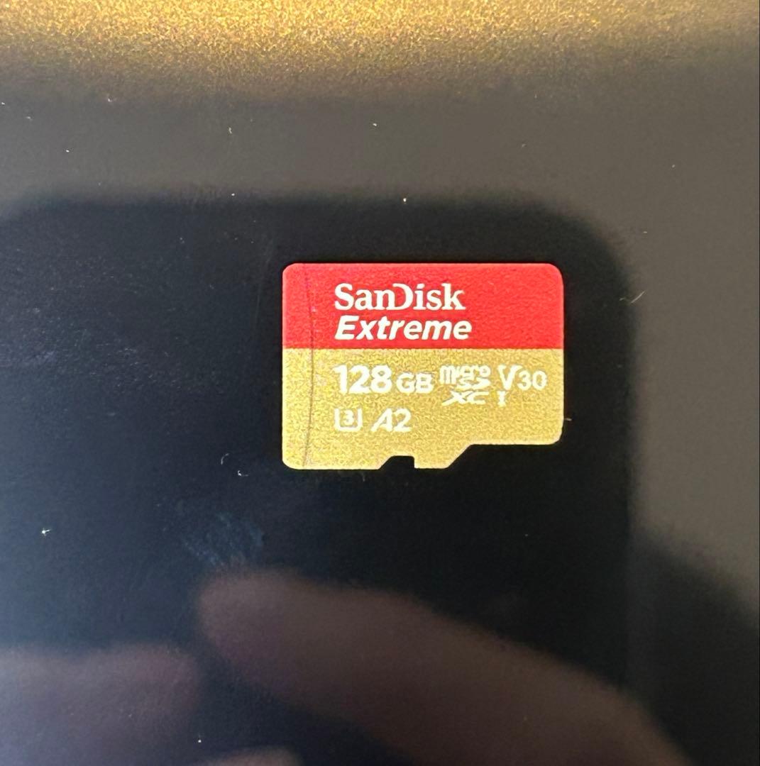 ニンテンドースイッチライト ディアルガ・パルキア 本体 micro sd付き