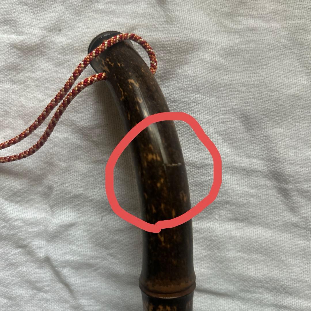 45R 花柄 折りたたみ傘 45rpm