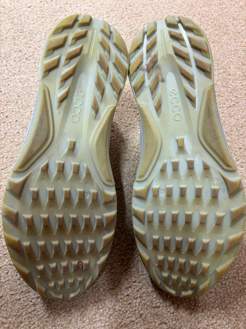 【週末値下げ】 ecco エコー BIOM C4 BOA ゴルフシューズ