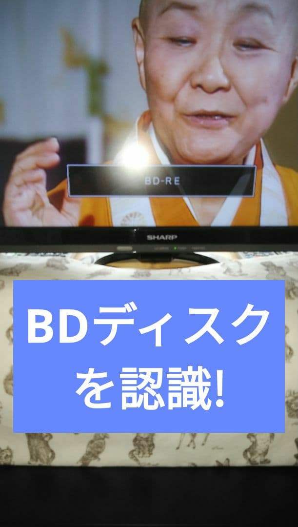 2B-C10BT1/三番組同録・4K再生可/2019年モデル実動確認品/純リモ付