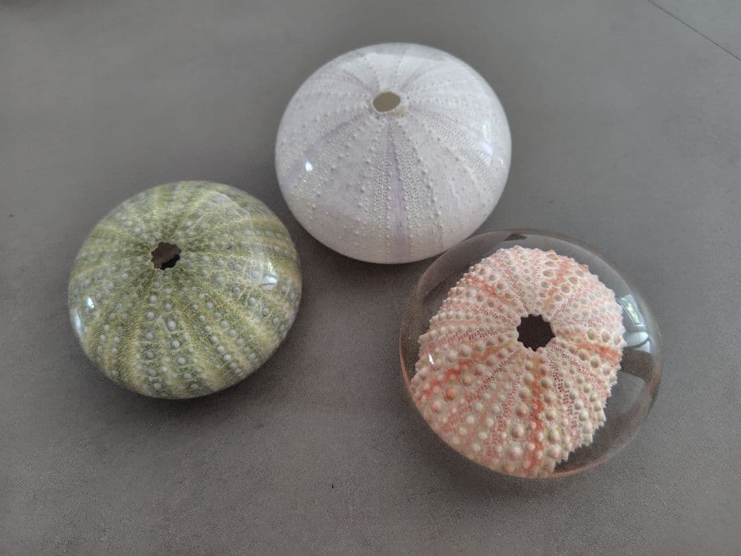 【3個セットバラ売り不可】ウサギノネドコ ウニマル　Unimaru　3個セット