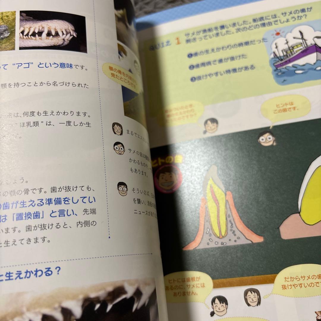 世界最強の歯科保健指導 中巻