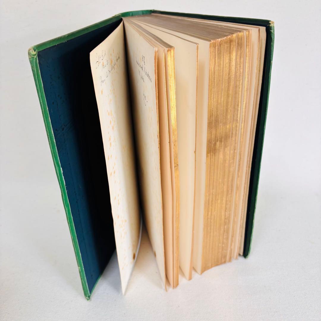 洋書　1876年 野の花 British 花 植物図鑑 英国 Sowerby