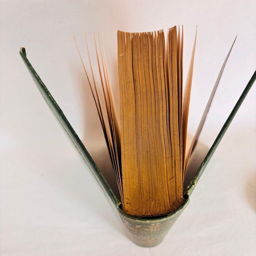 洋書　1876年 野の花 British 花 植物図鑑 英国 Sowerby