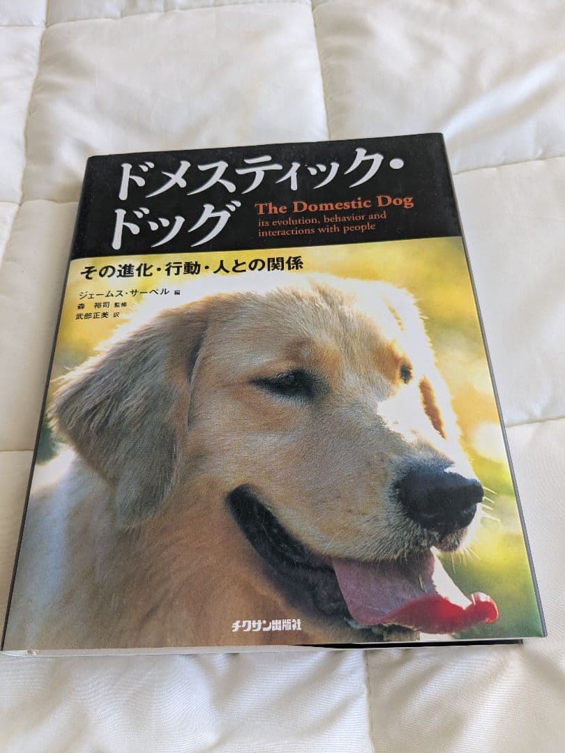 ドメスティックドッグ　犬 その進化,行動,人との関係