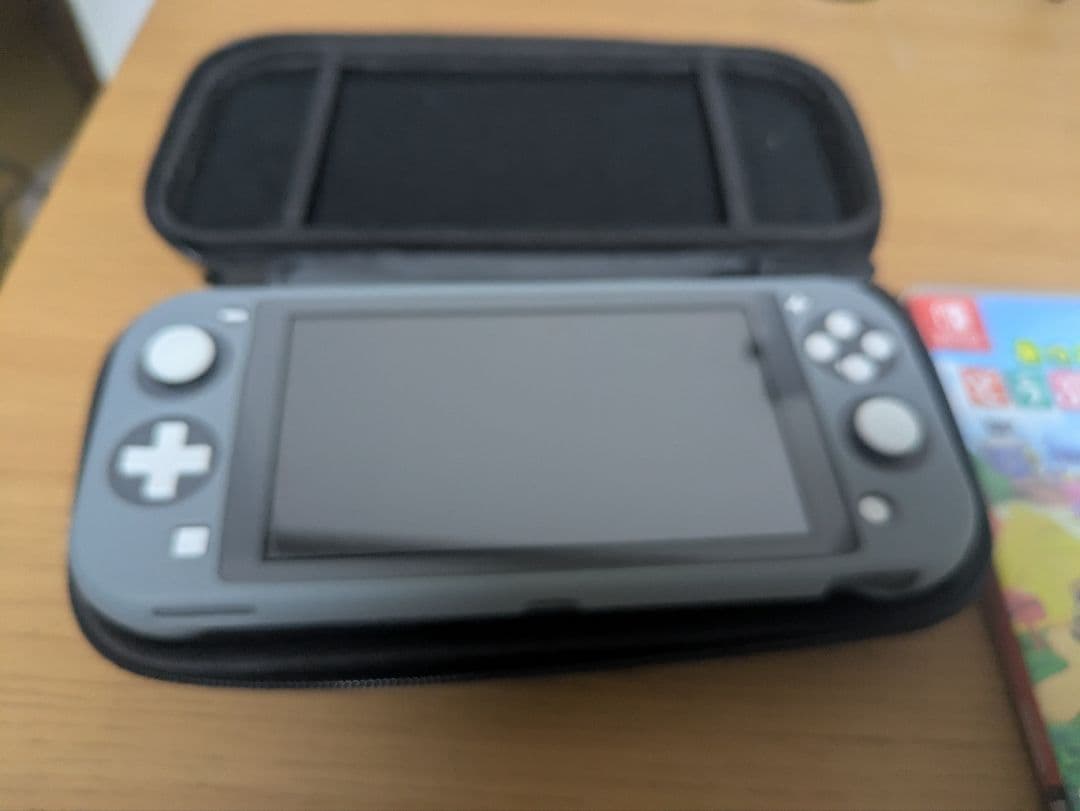 Nintendo Switch Lite グレー 本体 + どうぶつの森＋α