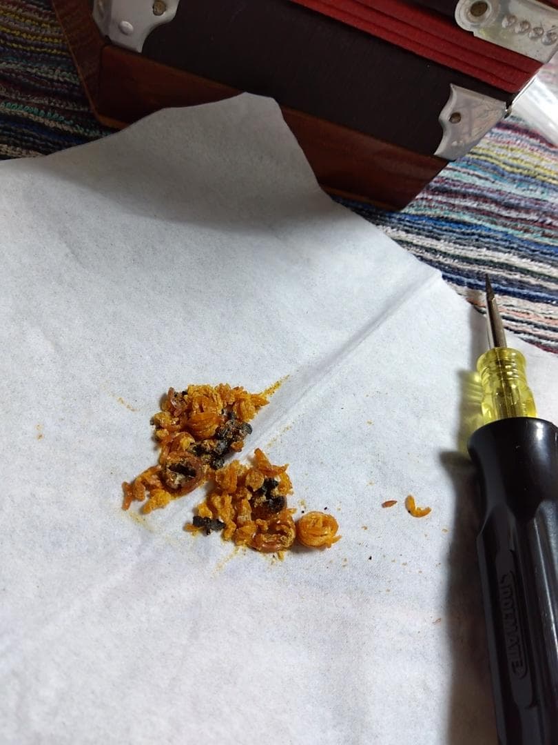 REGOLETTA コンサーティーナ 20ボタン　ビンテージ イタリア製