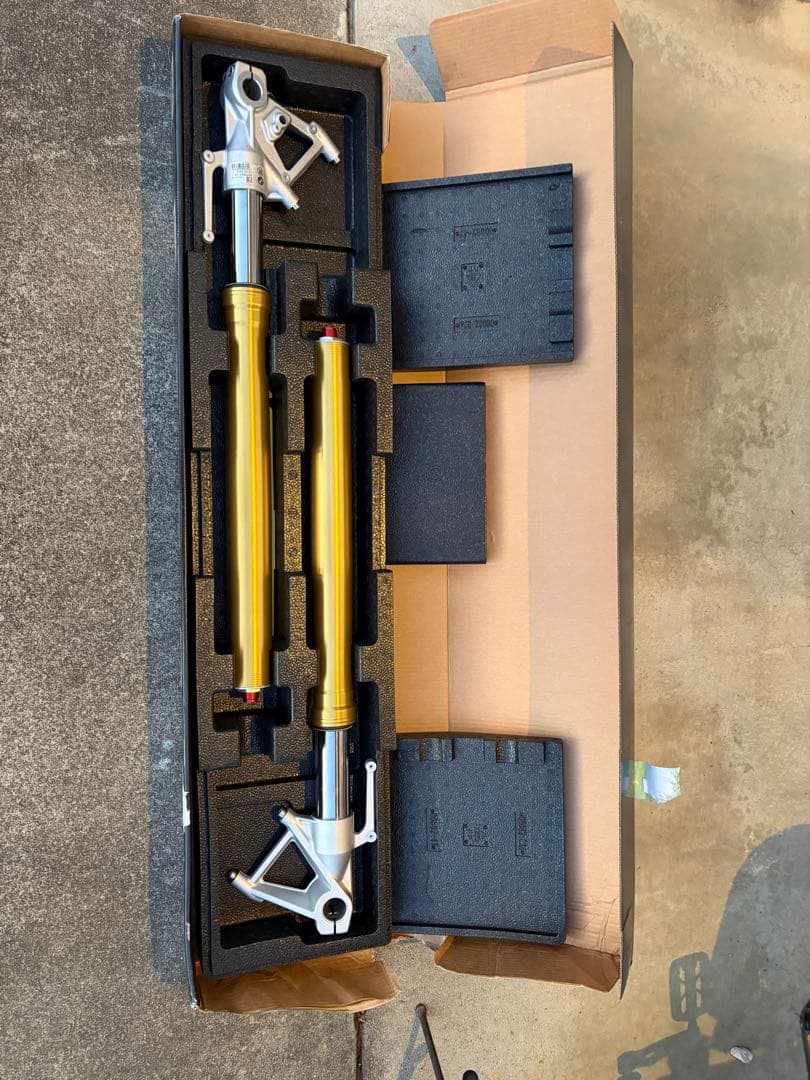 Rninet 純正倒立フロントフォーク 新車取外し