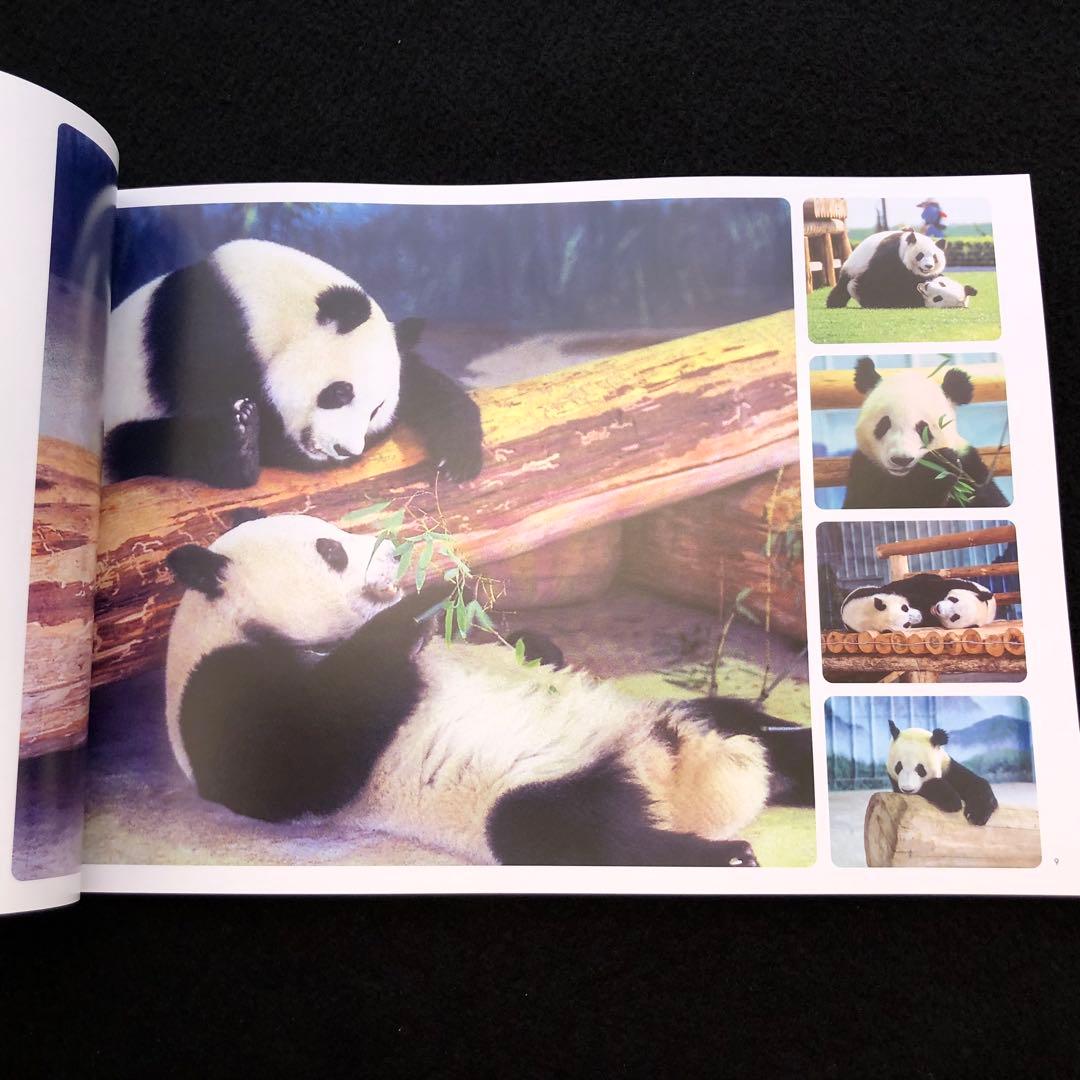 ジャイアントパンダ　永明30歳記念 写真集「永明からつながるスマイルストーリー」