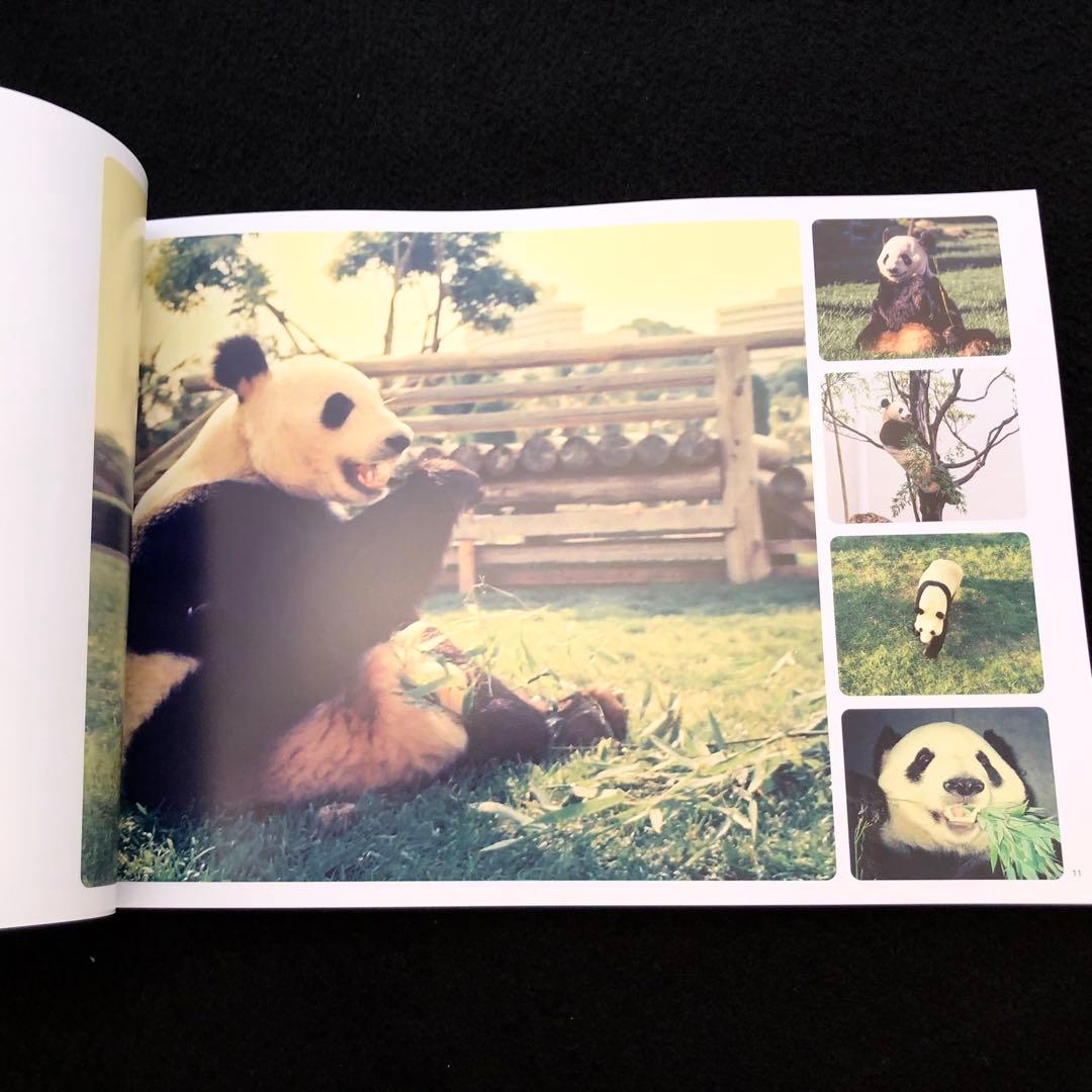 ジャイアントパンダ　永明30歳記念 写真集「永明からつながるスマイルストーリー」