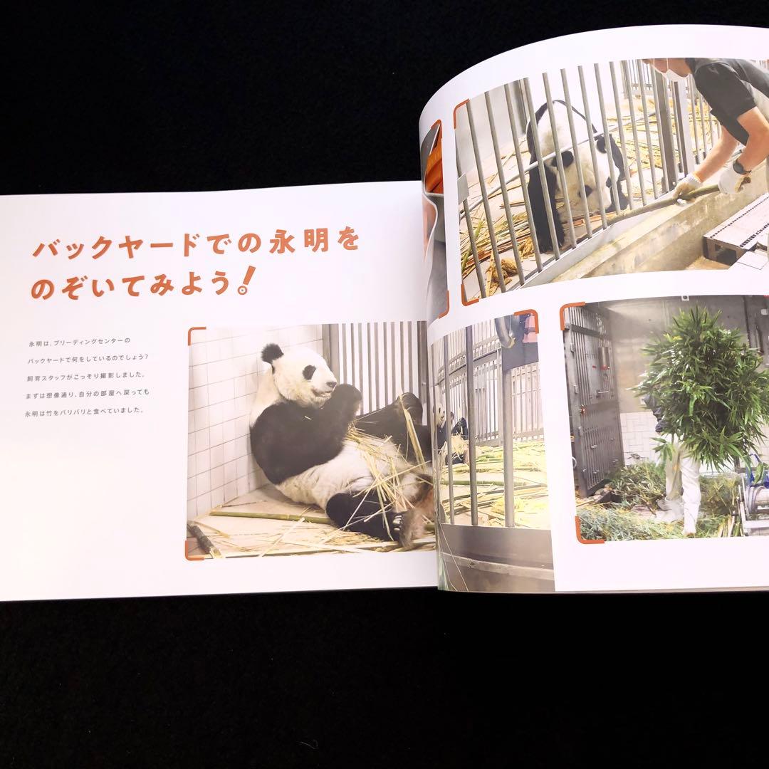 ジャイアントパンダ　永明30歳記念 写真集「永明からつながるスマイルストーリー」