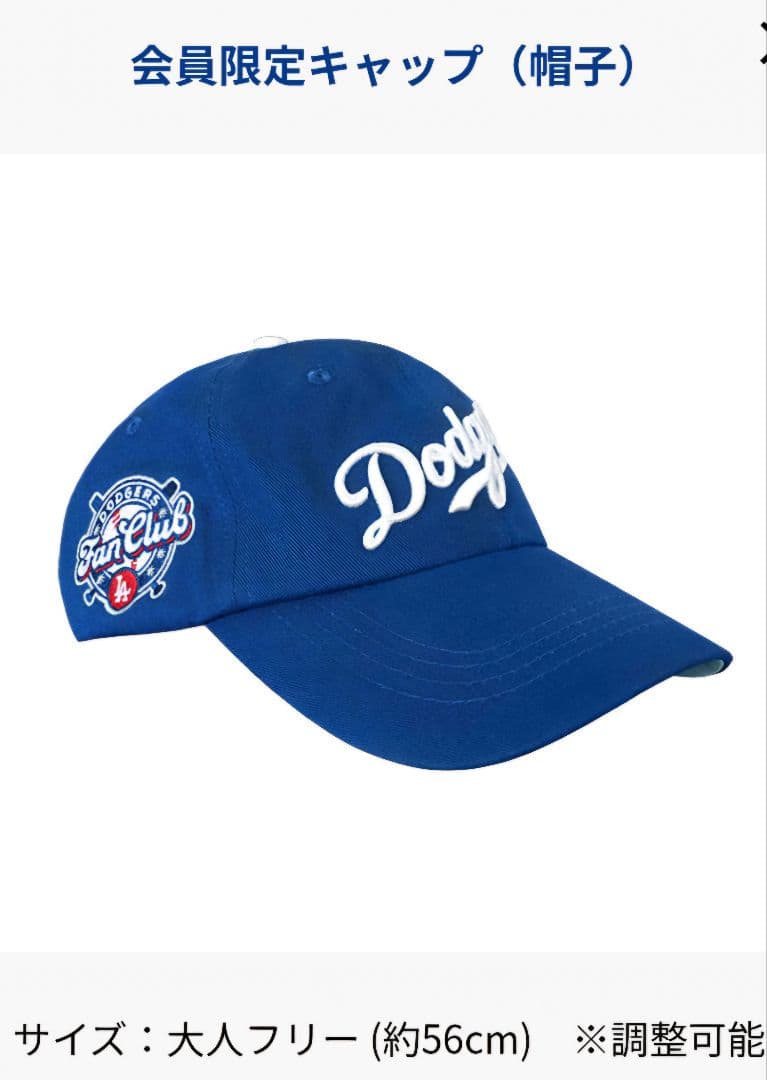 ロサンゼルス・ドジャース ファンクラブ入会記念グッズ6点セット