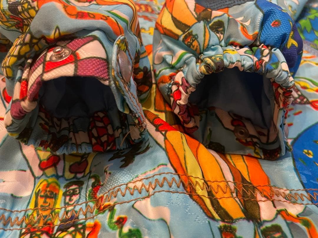 James Rizzi 画家　レア　スキーウェア　ボード　9 美品　M