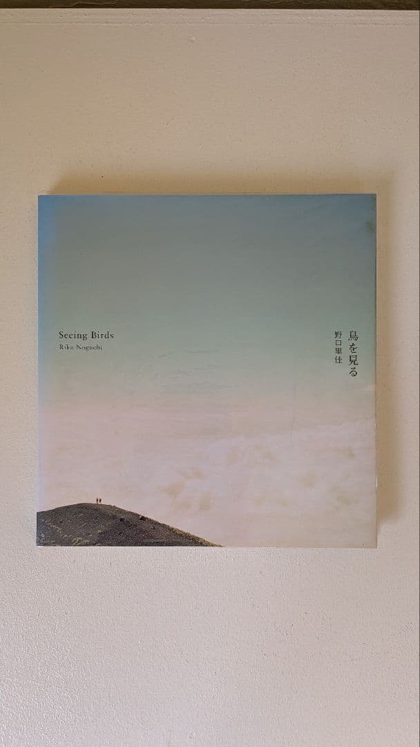野口里佳『鳥を見る