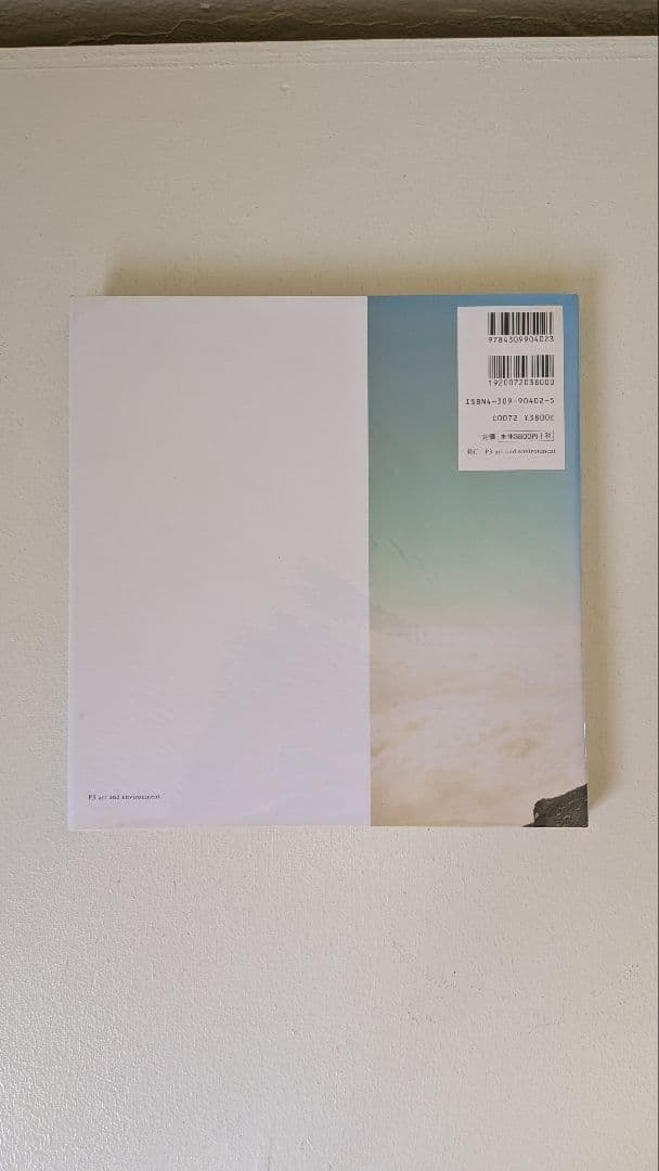 野口里佳『鳥を見る