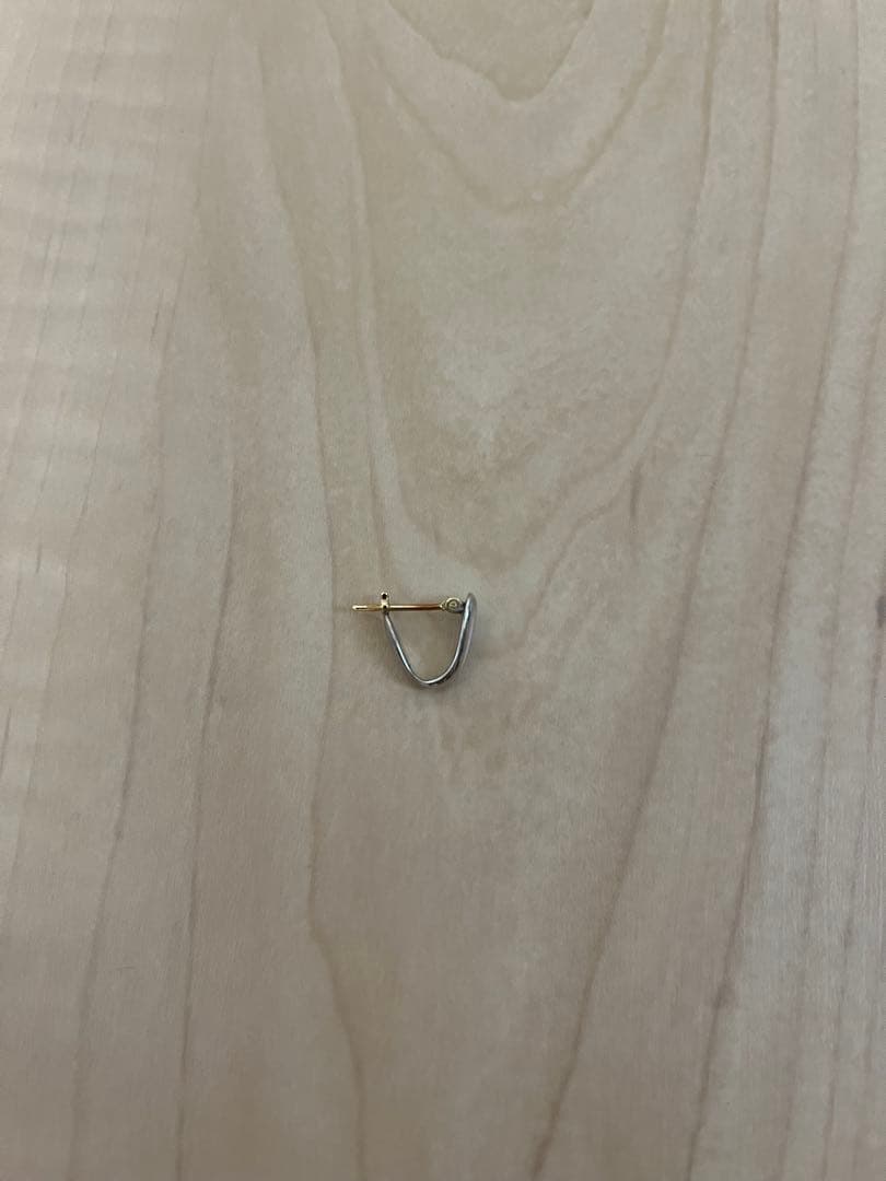 CAREERING キャリアリング fragment 藤原ヒロシ ピアス