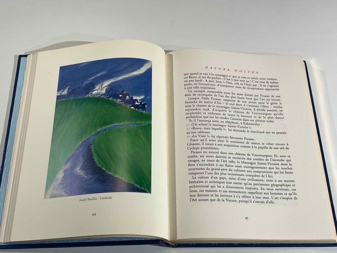 洋書 NATURA NOSTRA 限380 ブラジリエ画 革装幀 三方金