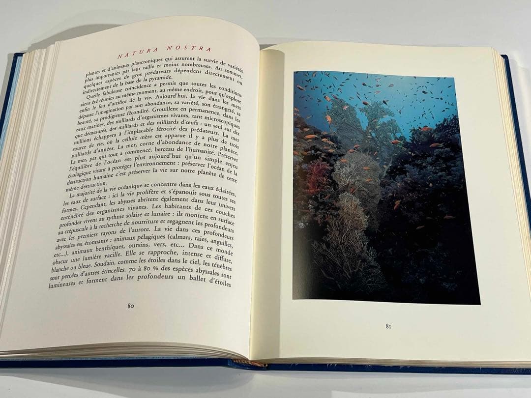 洋書 NATURA NOSTRA 限380 ブラジリエ画 革装幀 三方金