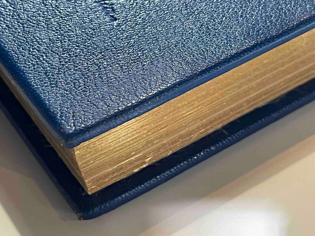 洋書 NATURA NOSTRA 限380 ブラジリエ画 革装幀 三方金