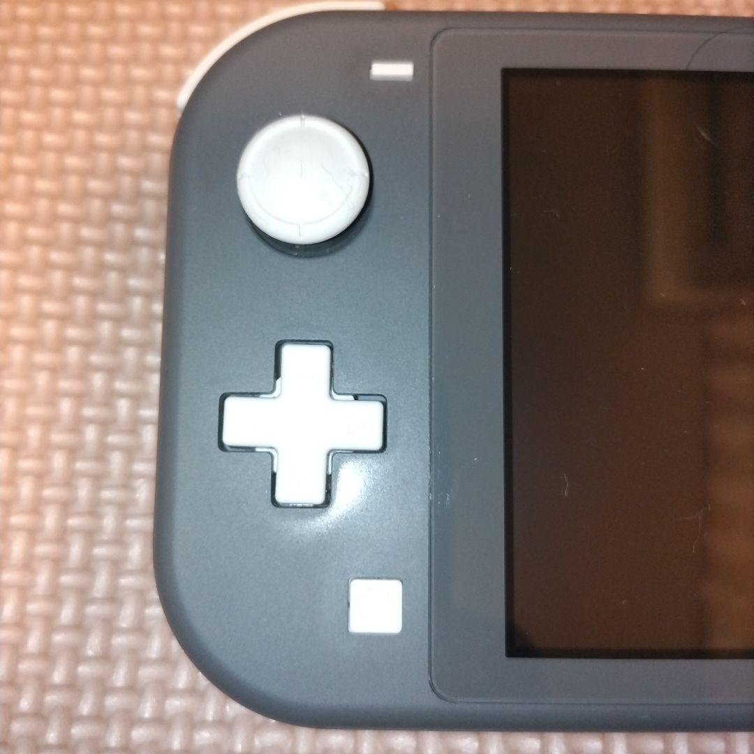 Nintendo Switch Lite グレー　画面要確認
