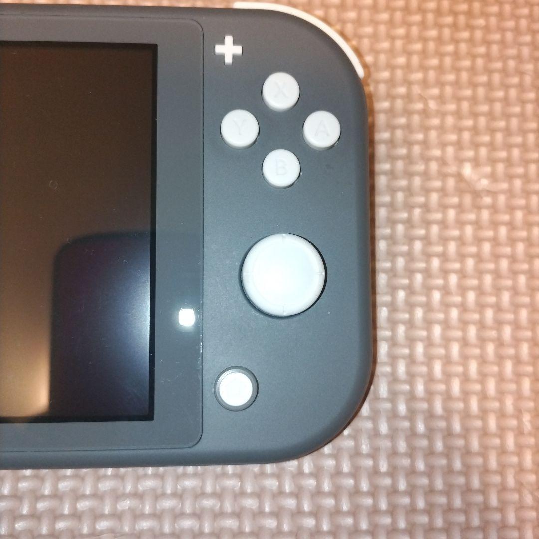 Nintendo Switch Lite グレー　画面要確認