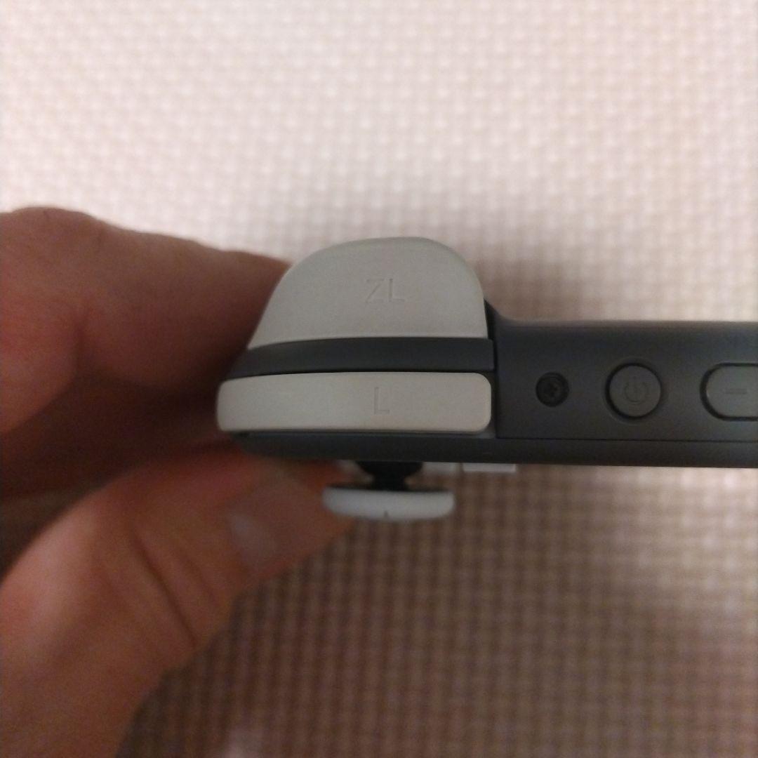 Nintendo Switch Lite グレー　画面要確認